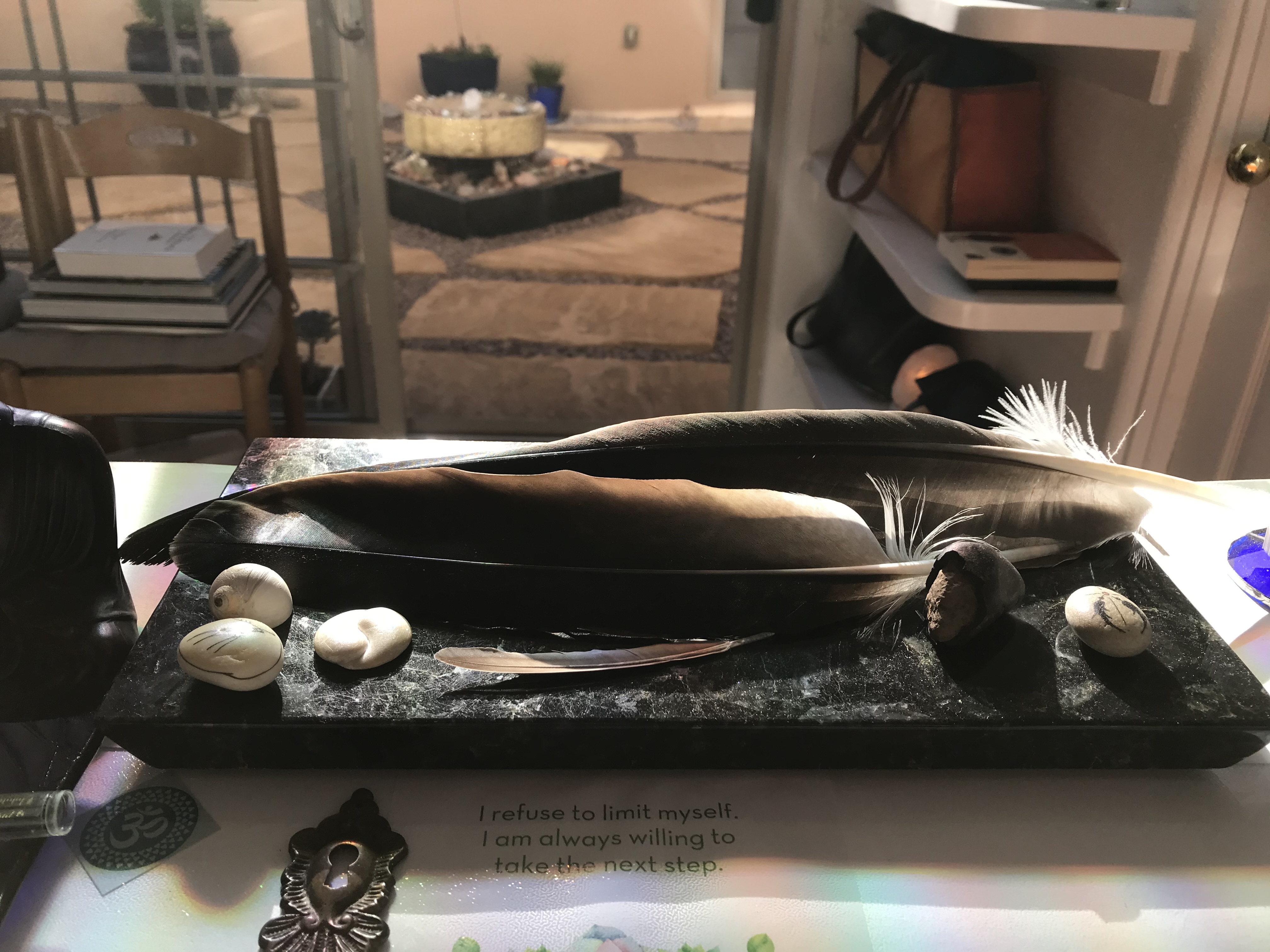A close-up feather photograph